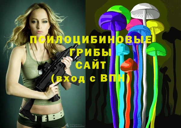 амф Алзамай