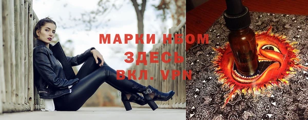 прущие грибы Алексеевка