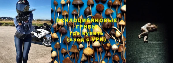 прущие грибы Алексеевка