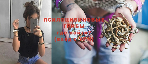 прущие грибы Алексеевка