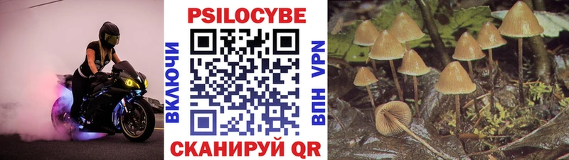 купить наркотики сайты  Гурьевск  Галлюциногенные грибы прущие грибы 
