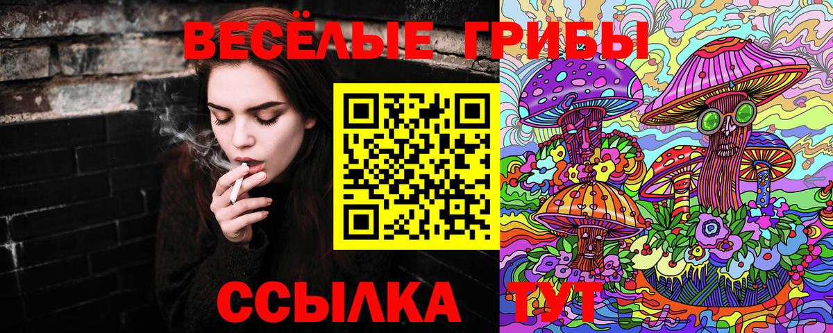 сколько стоит  Псилоцибиновые грибы Magic Shrooms  Вход с VPN  Гурьевск 